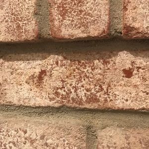 Meet your Posher, Glody